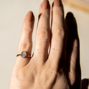 sparrow ring #9 - size 5.25
